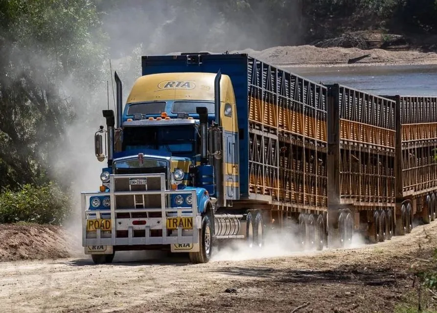 Conheça o gigante australiano capaz de transportar 330 bovinos em uma única viagem