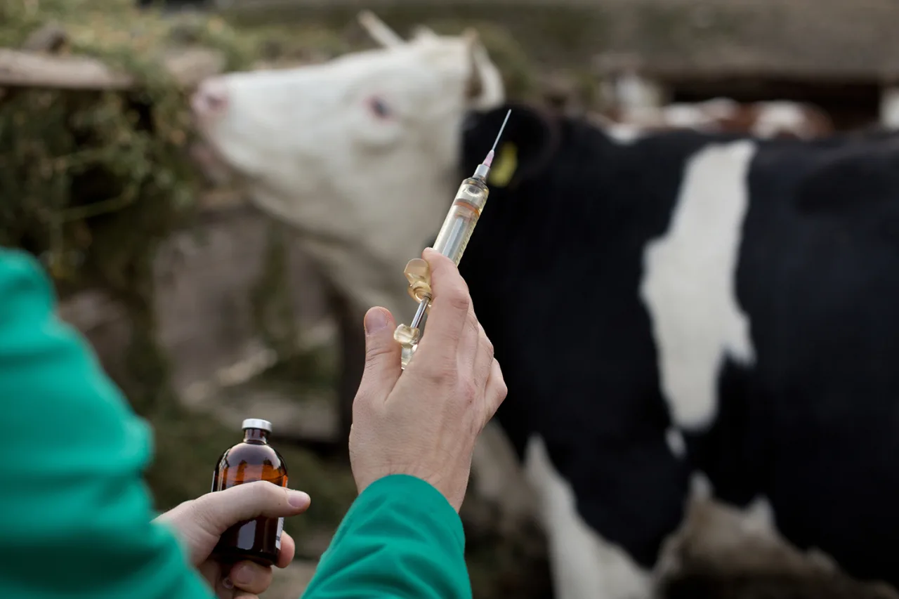 UE aperta exigências e setor de saúde animal propõe nova divisão nas cadeias produtivas