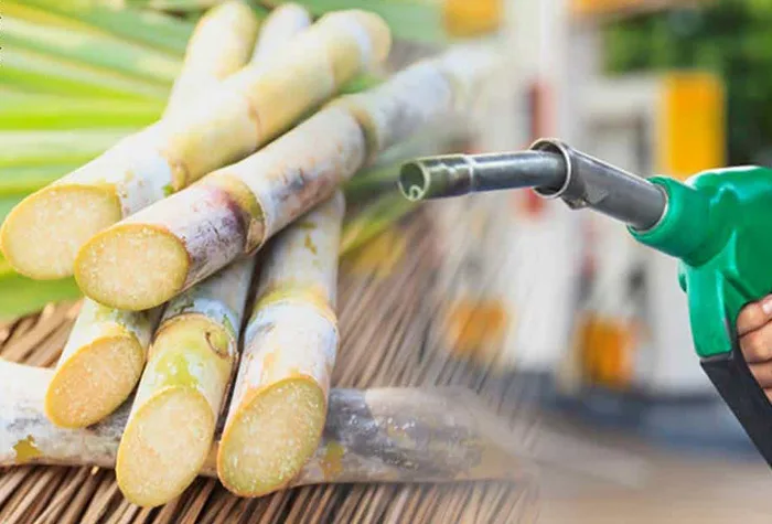 Unica: vendas de etanol sobem 11,54% em junho na comparação anual