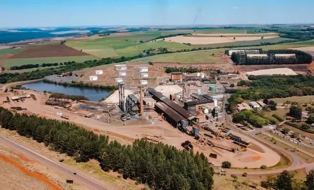Boa Safra lucra R$ 2,67 milhões em segundo trimestre atípico
