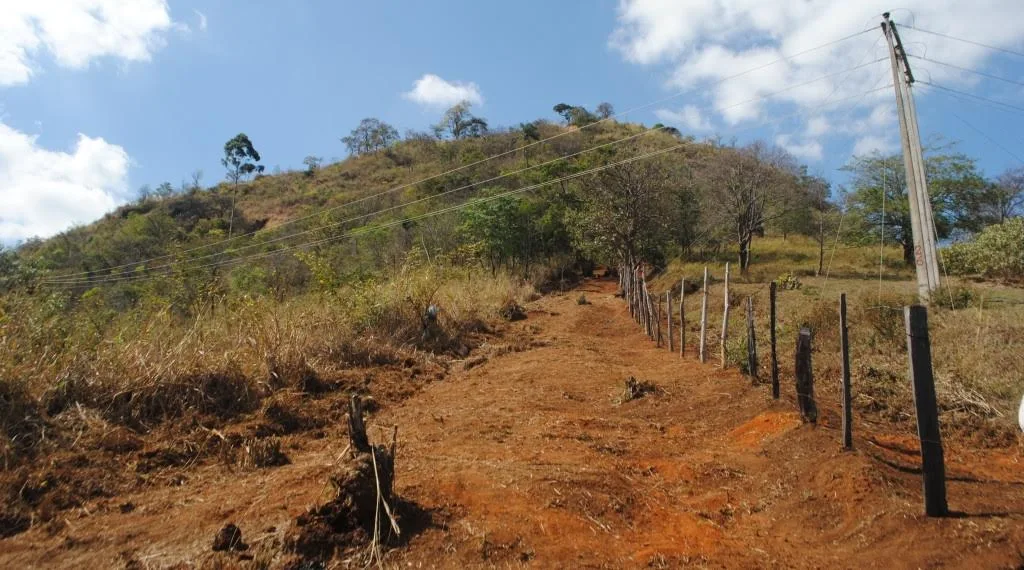 Aceiro pode salvar a fazenda do fogo? Veja como funciona e quando deve ser feito