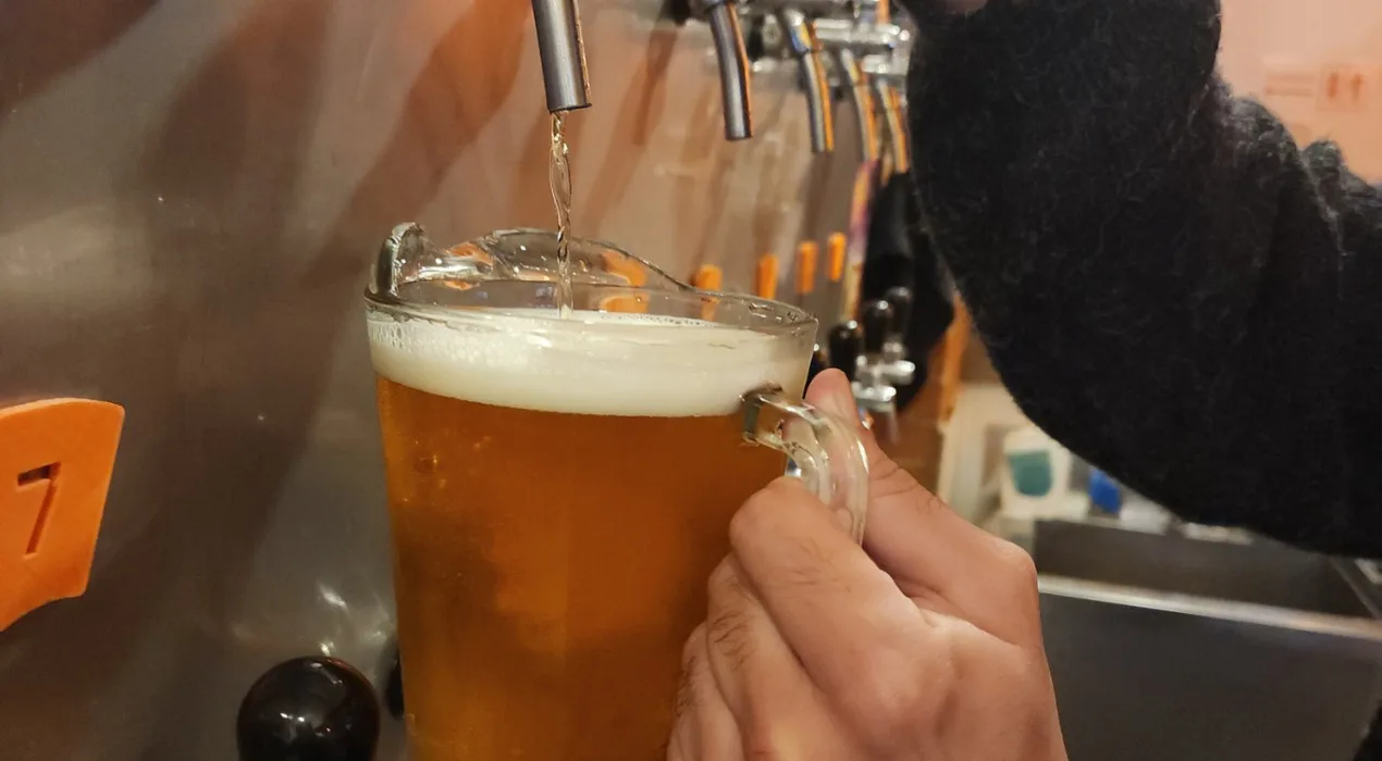 Como a cerveja é feita? Do lúpulo à levedura, veja o caminho da bebida até chegar ao copo