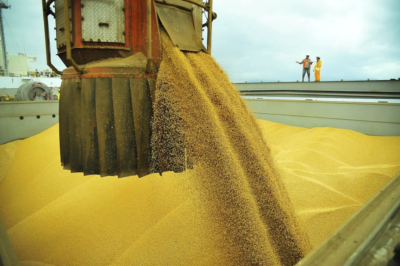 Volume de soja inspecionado para exportação nos EUA sobe 43%, diz USDA