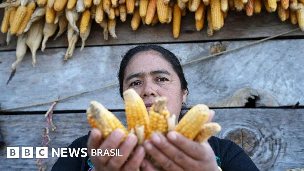 Os graves efeitos do 'Super El Niño' na América Latina previstos pelos cientistas