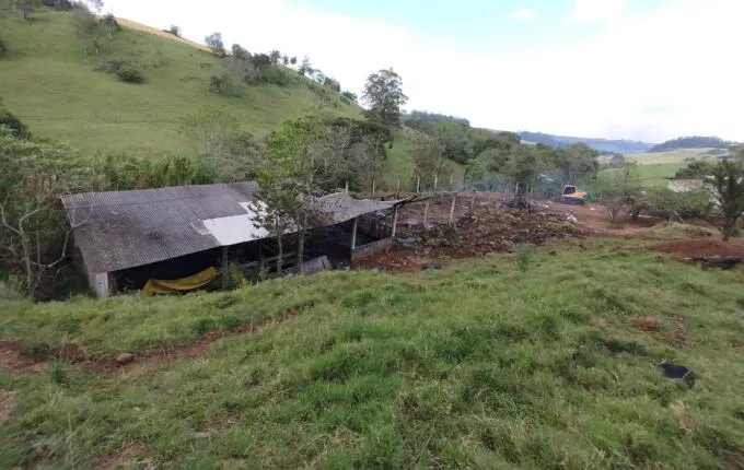 Incêndio destrói galpão com 11 toneladas de feno; animais são retirados a tempo