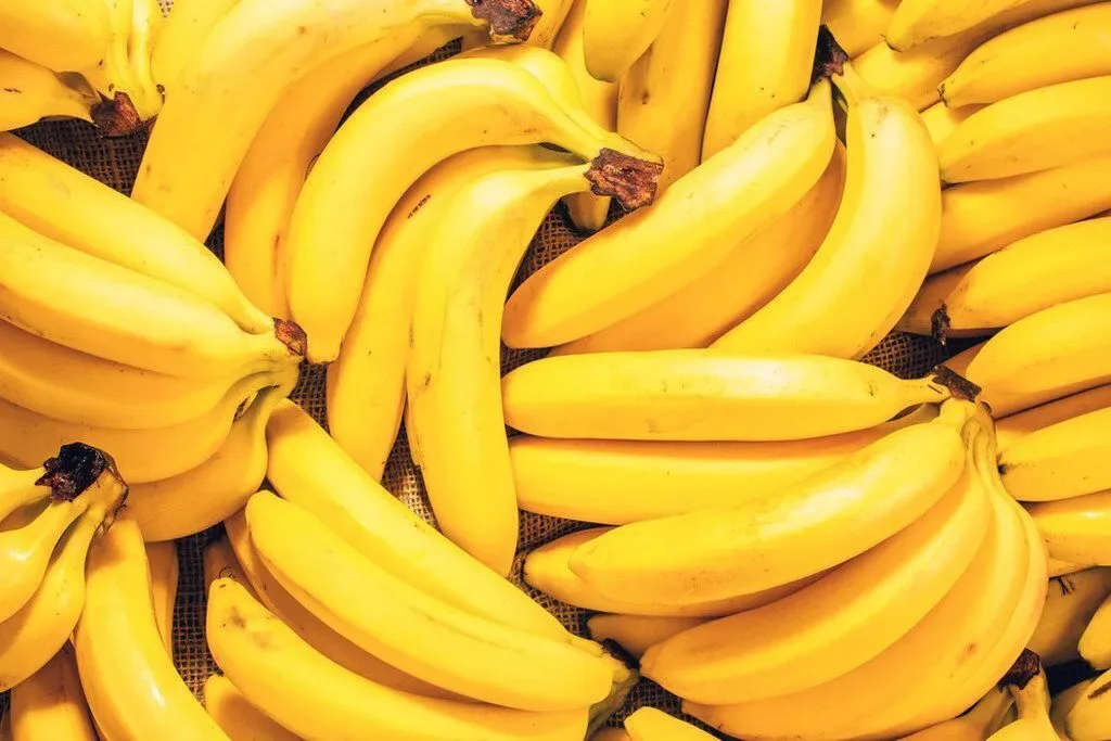 Yara e Bananas Corrêa lançam projeto para descarbonizar banana