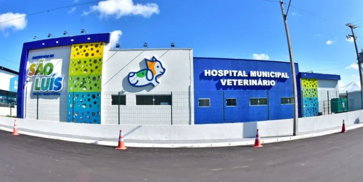 Crise no Hospital Veterinário da Prefeitura de São Luís intensifica