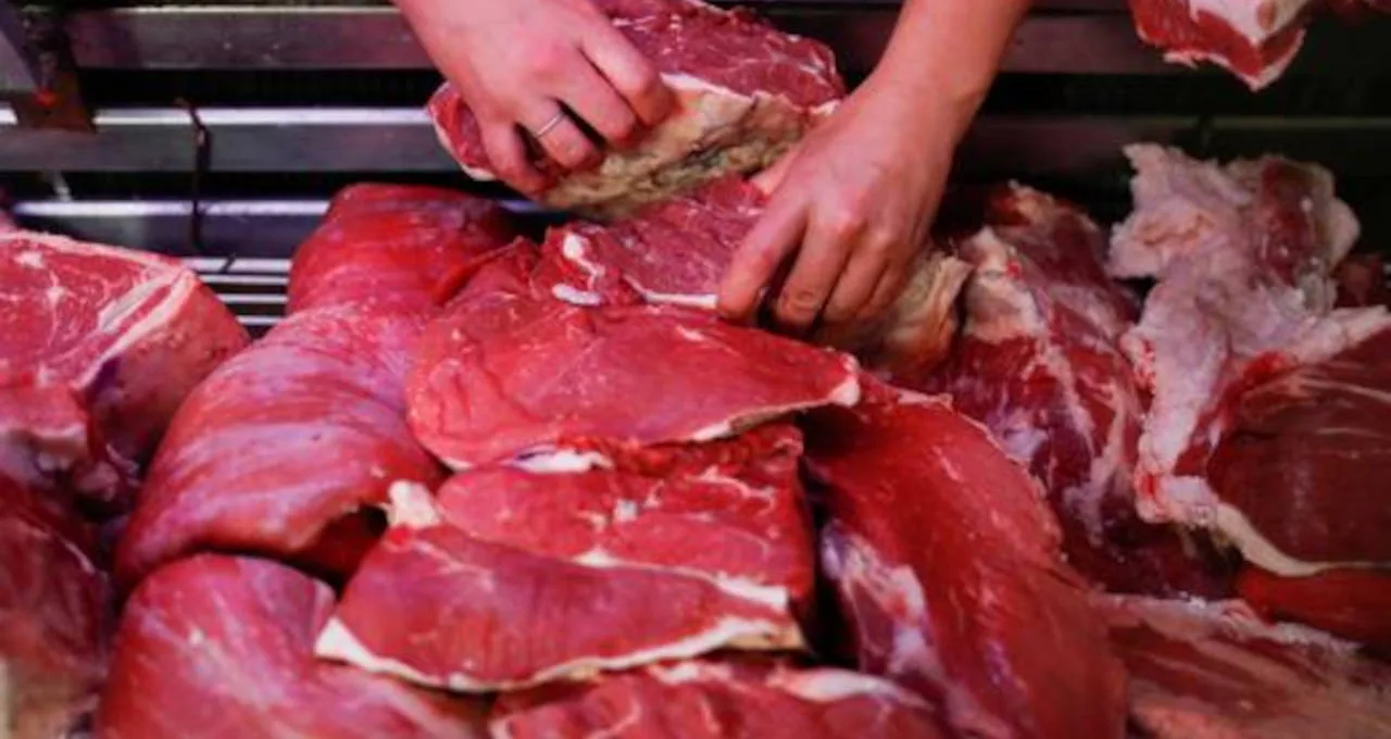 Marrocos abre as portas para carnes e ovinos com tarifa zero até dezembro