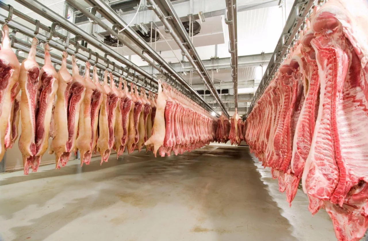 Embarques de carne suína recuam com redução de compras de países asiáticos