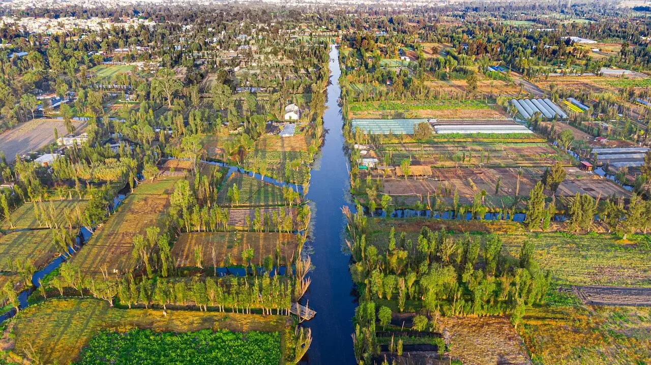 Técnica agrícola usada desde os astecas ainda produz alimentos em “ilhas” no coração do México
