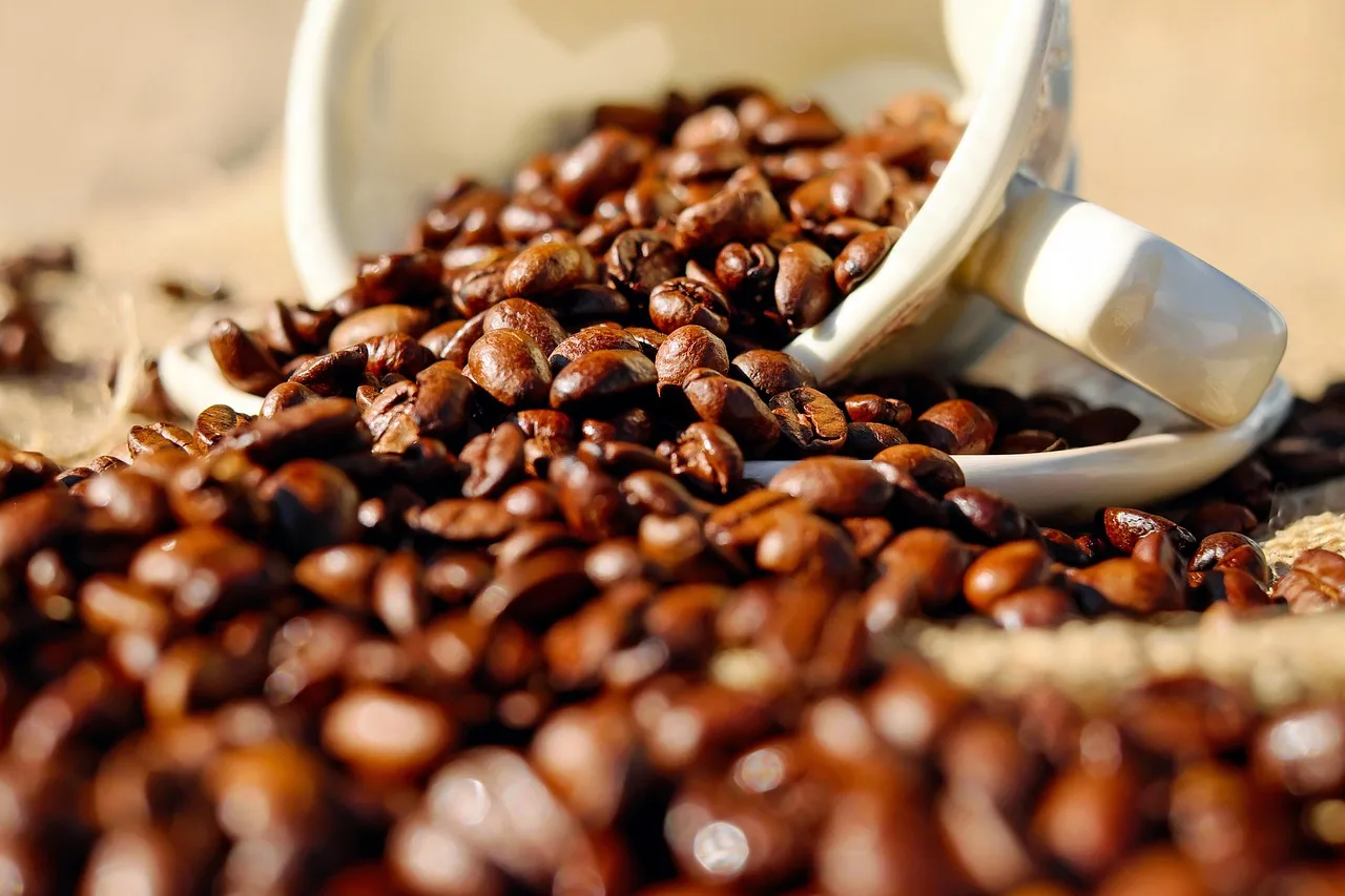 Setor cafeeiro enaltece trabalhos para atender a exigências dos mercados internacionais