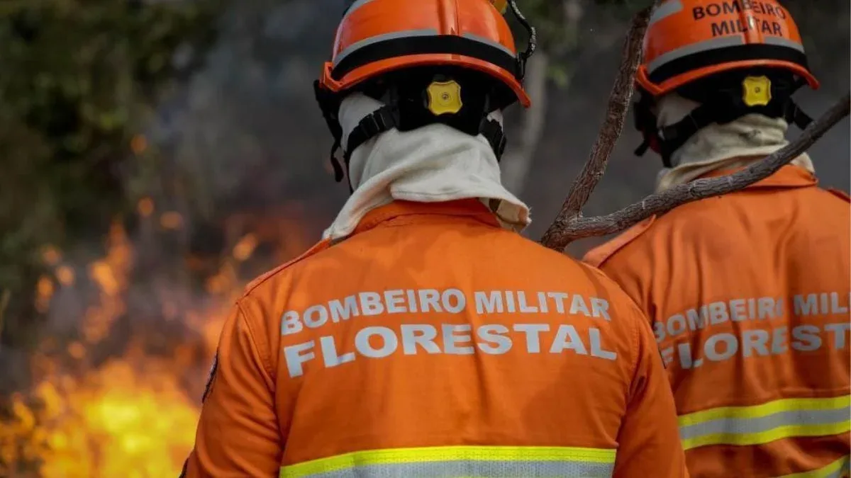 Incêndio criminoso já destruiu 20 mil hectares e ameaça propriedades rurais em MT