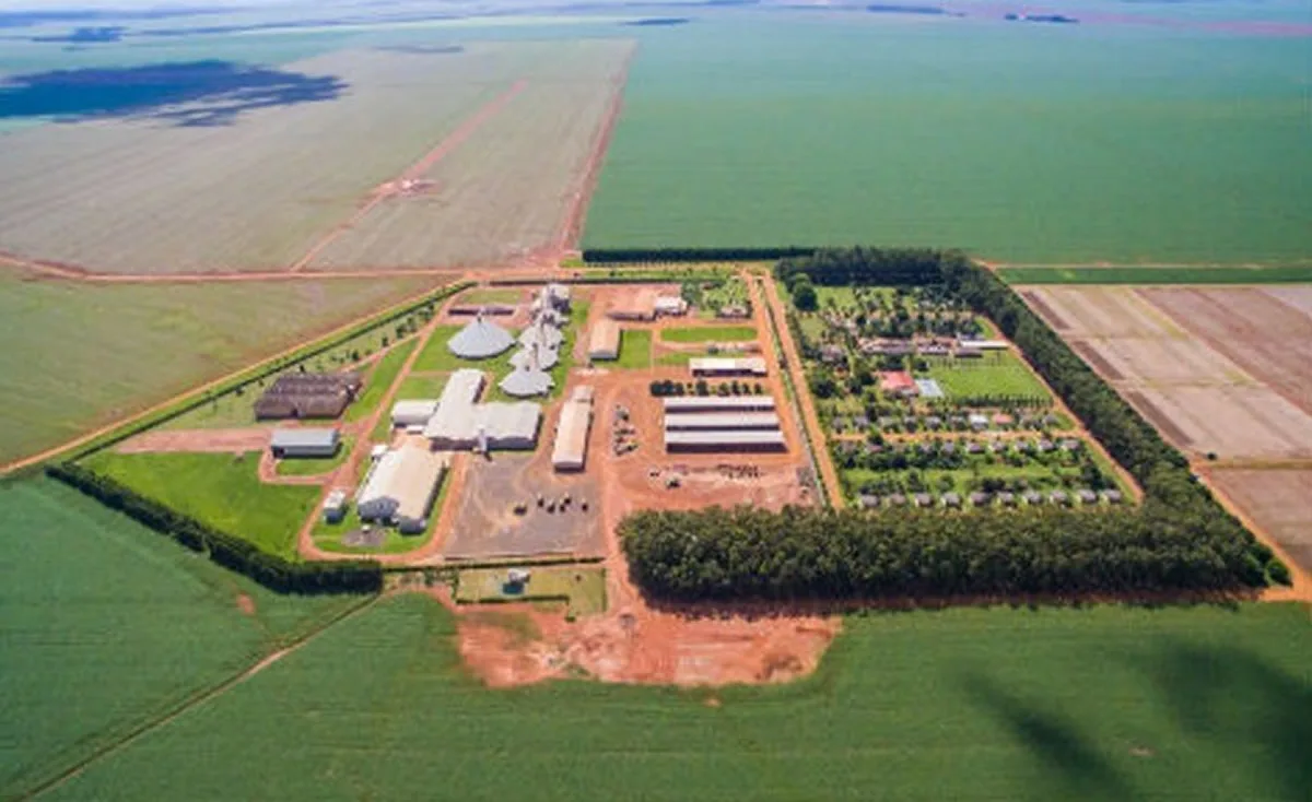 De uma sala em Porto Alegre, gigante do agro monitora 13 fazendas em cinco estados em tempo real