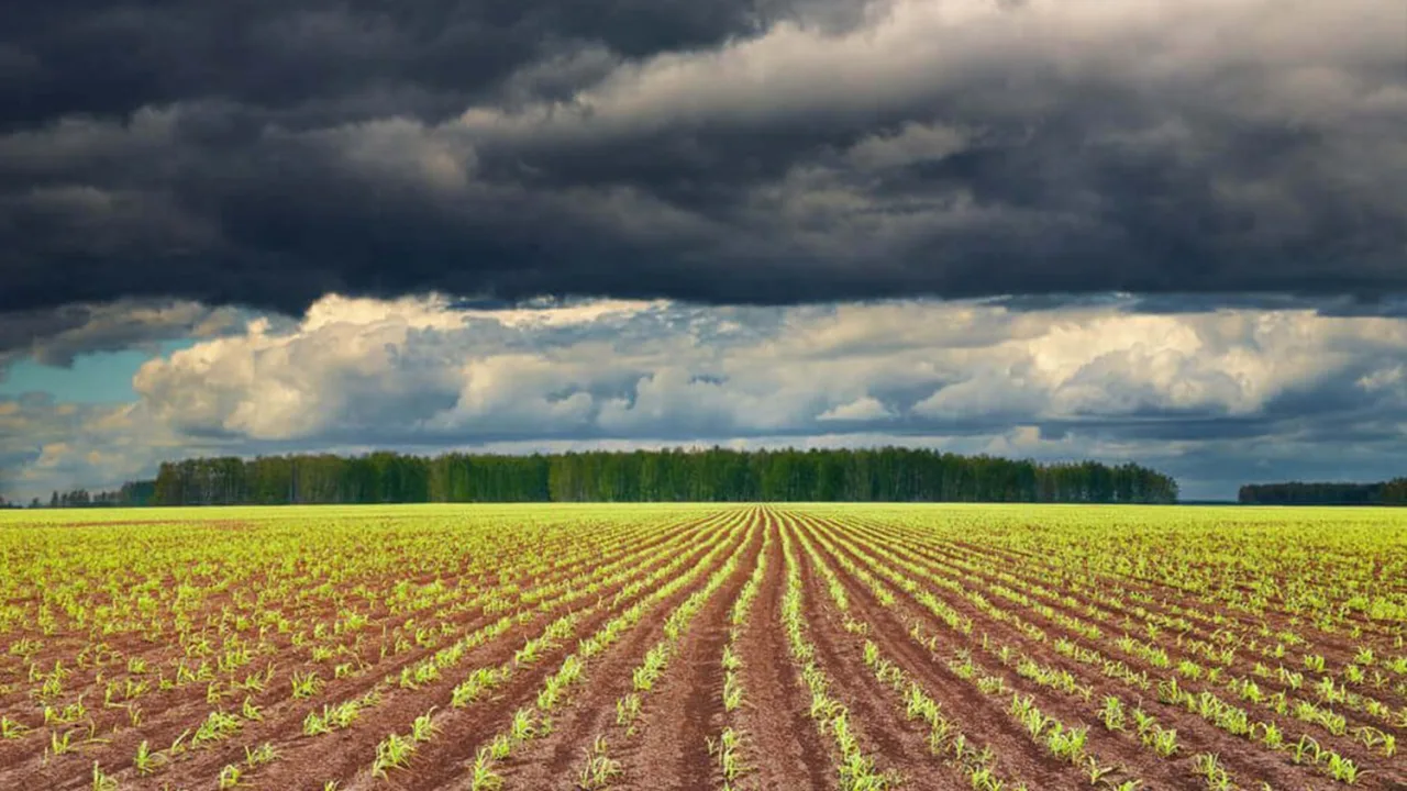 El Niño 2026: os impactos na agricultura e no preço dos alimentos