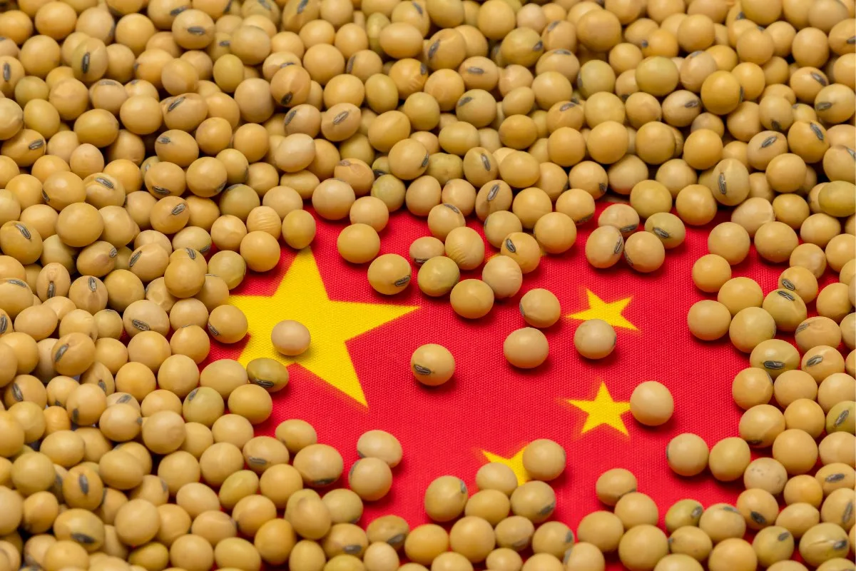 Exportadores dos EUA relatam venda de 136 mil t de soja à China