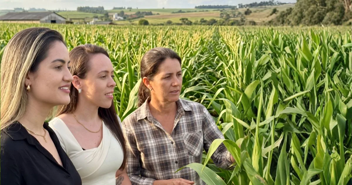 Juros a partir de 3% ao ano surgem como alternativa à crise do crédito rural