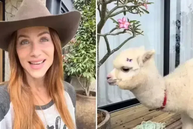 Ana Hickmann se despede do cachorrinho Zhee após 16 anos