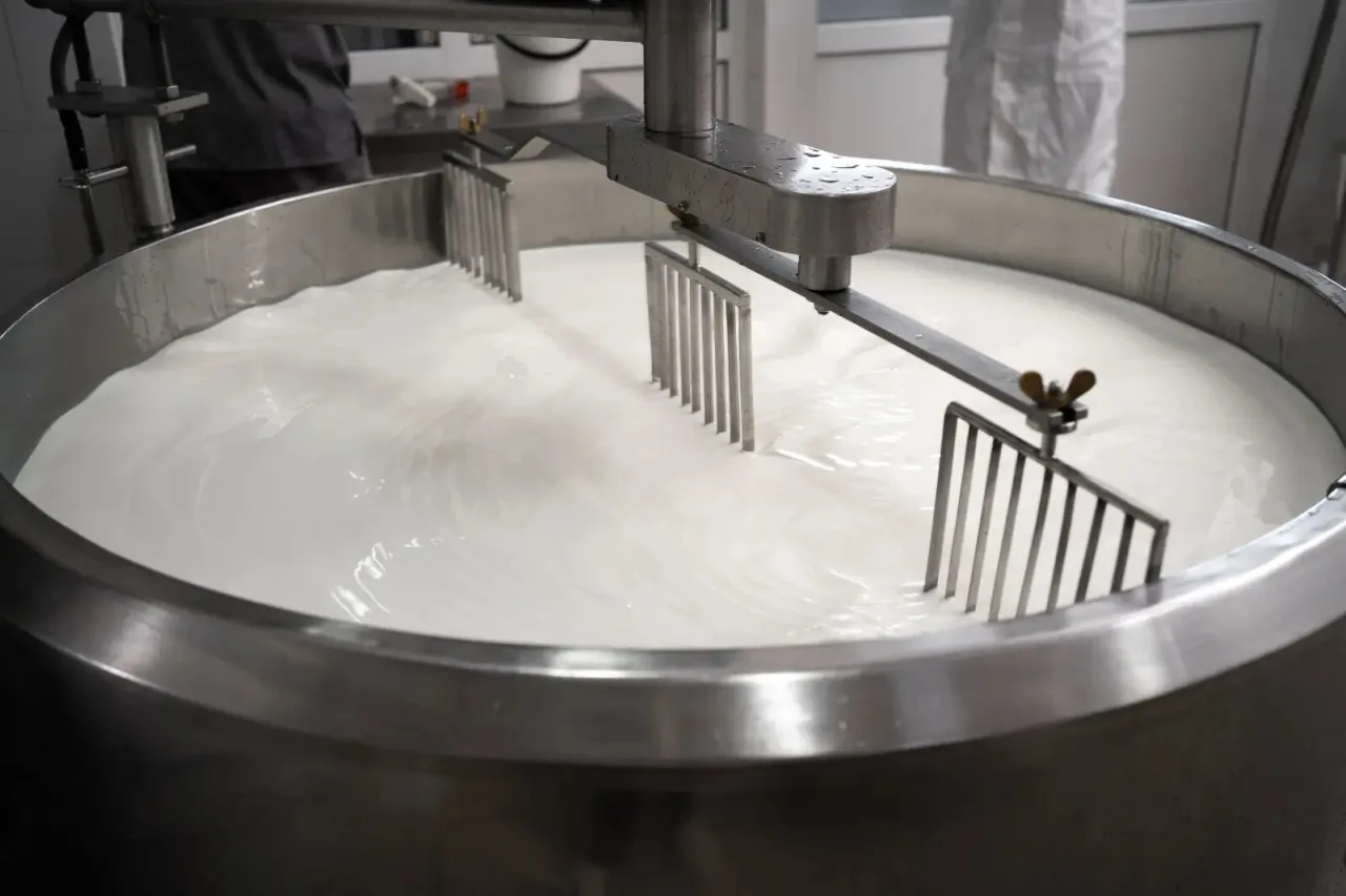 Nova portaria permite comercialização de queijo artesanal produzido com leite cru