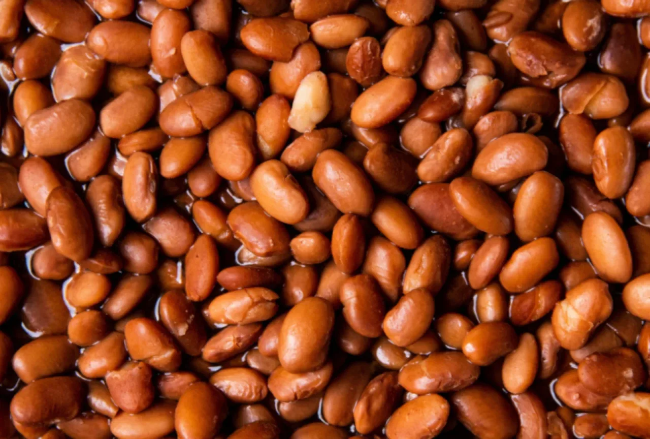 Pesquisadores transformam grãos quebrados de feijão em proteína