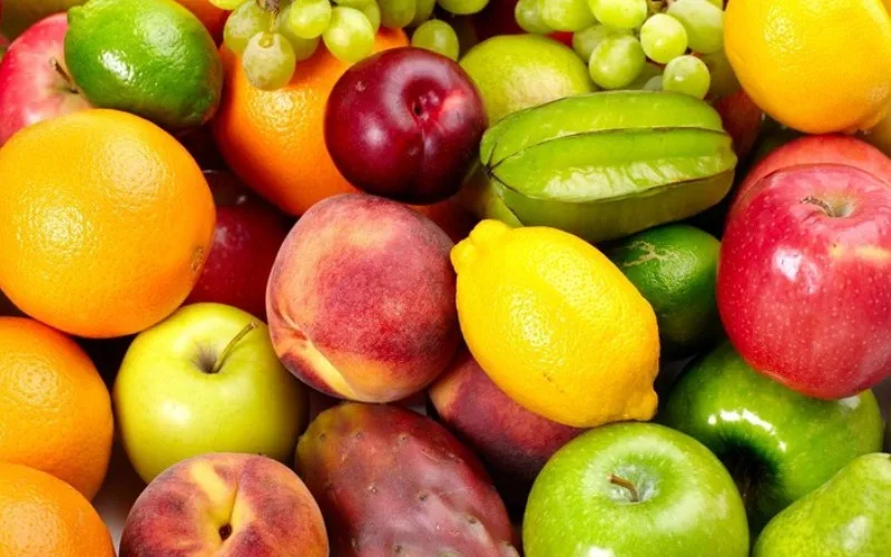 Abrafrutas reforça importância dos bioinsumos para a competitividade da fruticultura e defende regulamentação equilibrada