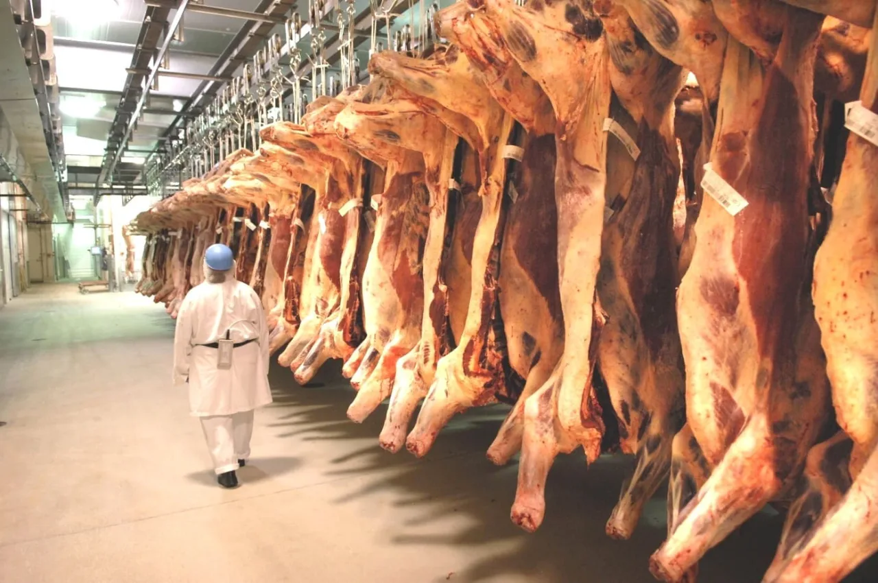 Exportações de carne bovina chegam a 1,97 milhão de toneladas até julho
