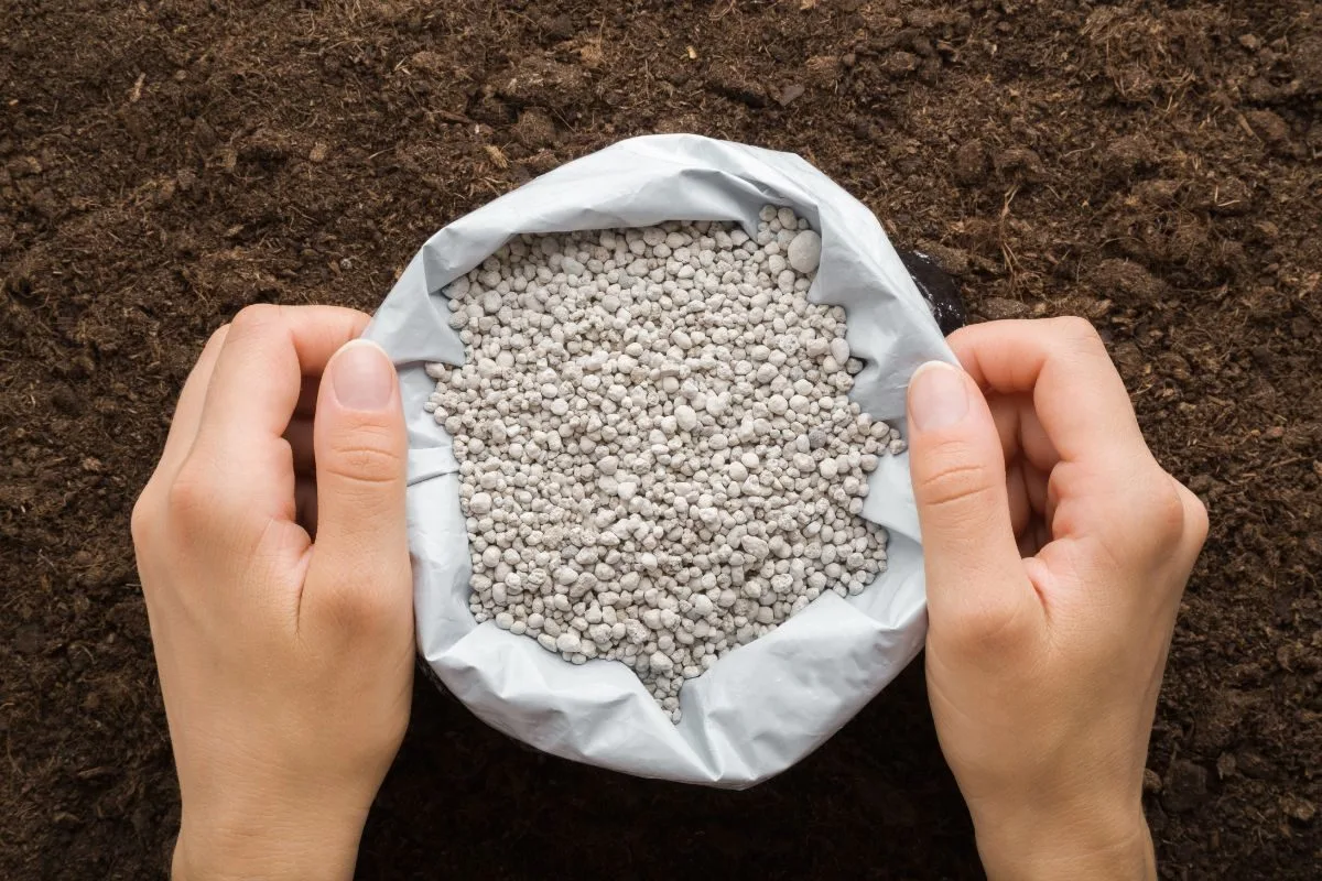 Índice de Poder de Compra de Fertilizantes encerra julho em queda de 5% 