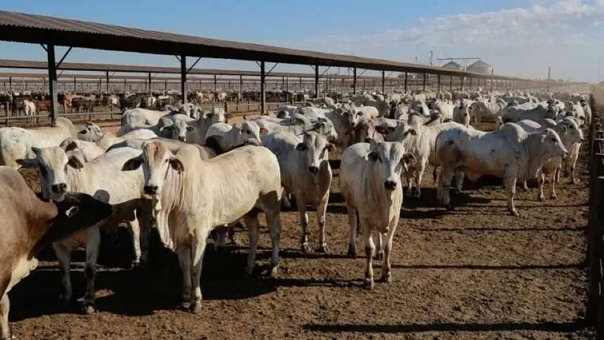 Guidara aposta em carne Wagyu para superar 50% da receita em 2026