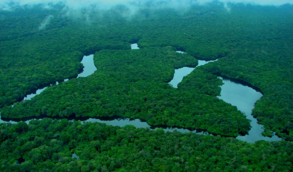 Alertas de desmatamento registram queda na Amazônia e no Cerrado, aponta Inpe