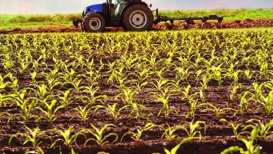 Mudança no licenciamento ambiental impacta produção agrícola e pecuária