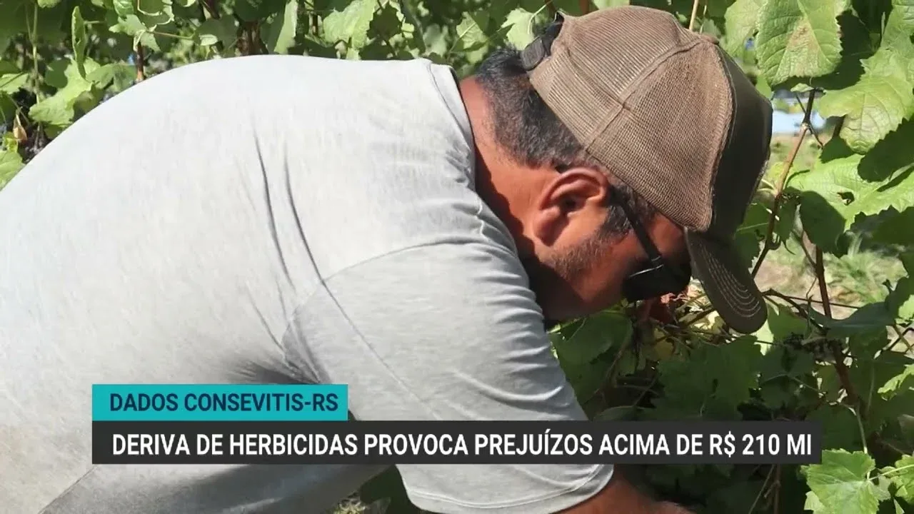 Deriva de herbicidas causa prejuízos de R$ 210 milhões no RS