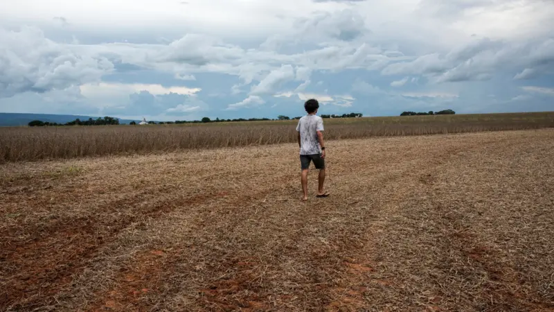 Primavera começa nesta terça: o que esperar da estação com o El Niño no Brasil