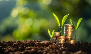 Como o produtor pode reduzir custos e ampliar a renda