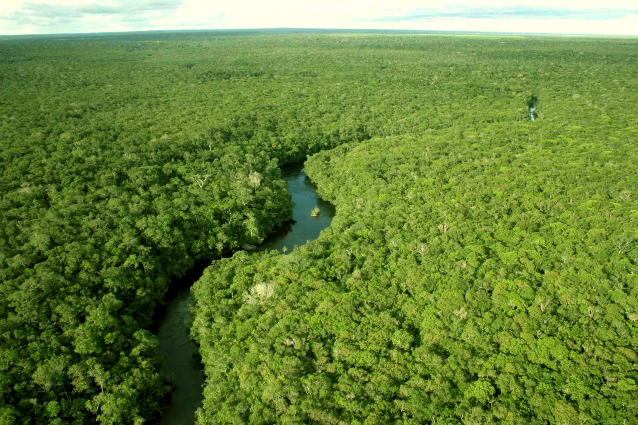 Calor extremo aumenta mais de 3 °C na Amazônia em 42 anos, aponta pesquisa