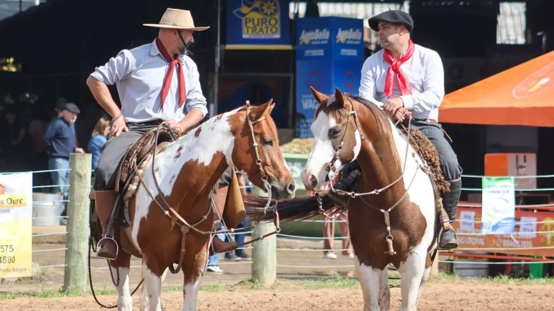 Paint Horse entra em cena na 49ª Expointer em prova que valoriza a tradição gaúcha
