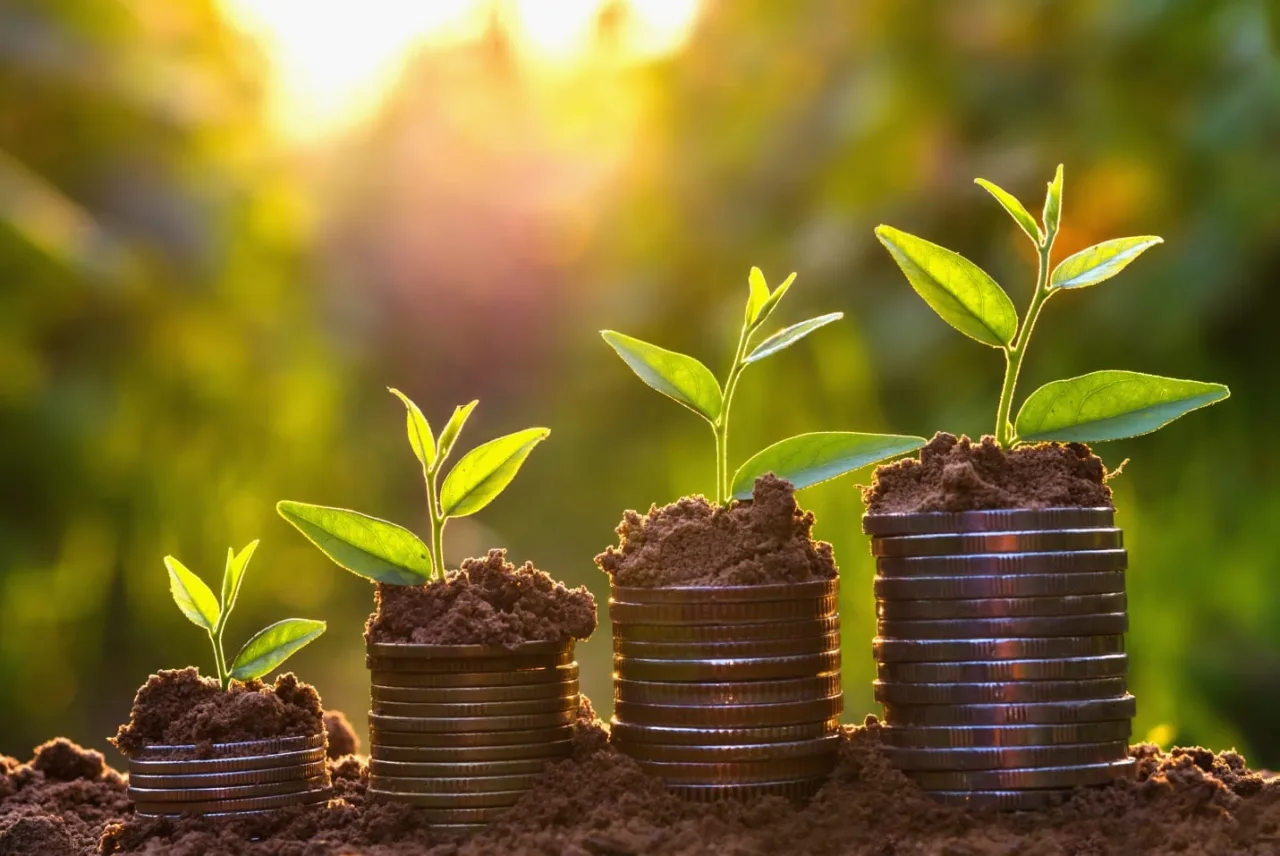 Sistema FAEP critica recurso escasso de R$ 318,5 mi para Seguro Rural em 2027