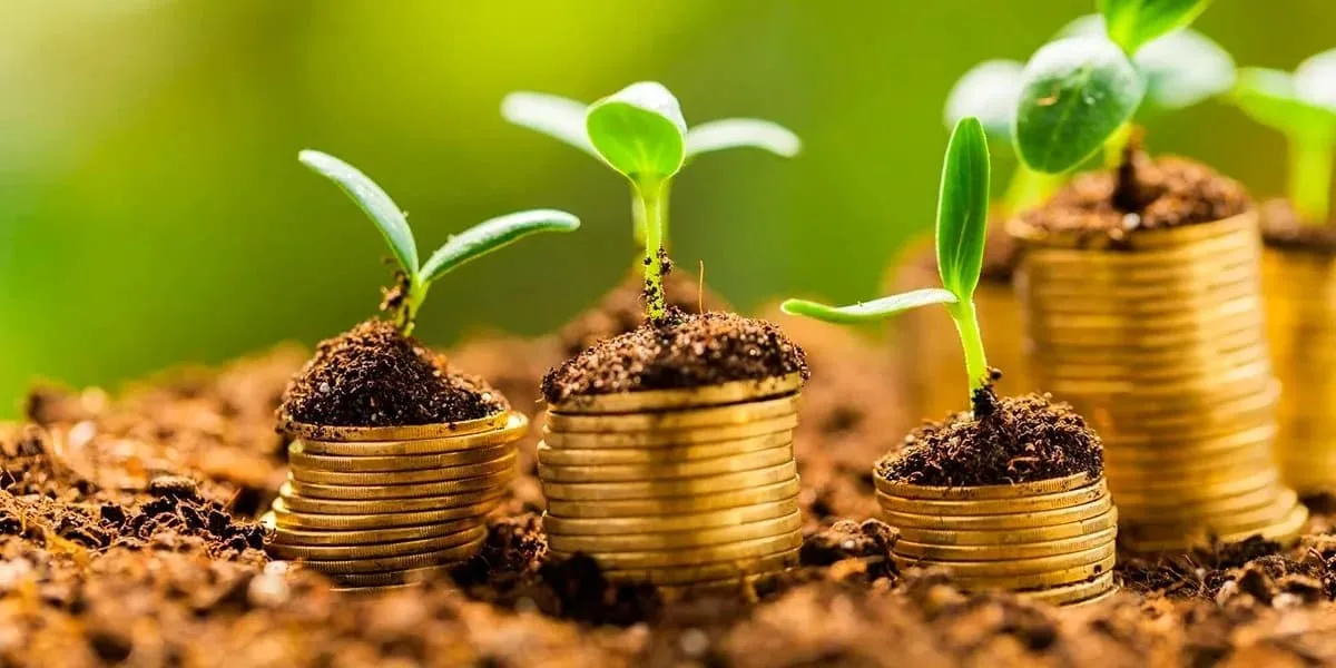 Seguro Rural pode ter R$ 1,2 bilhão em 2027, mas 73% dos recursos não estão garantidos