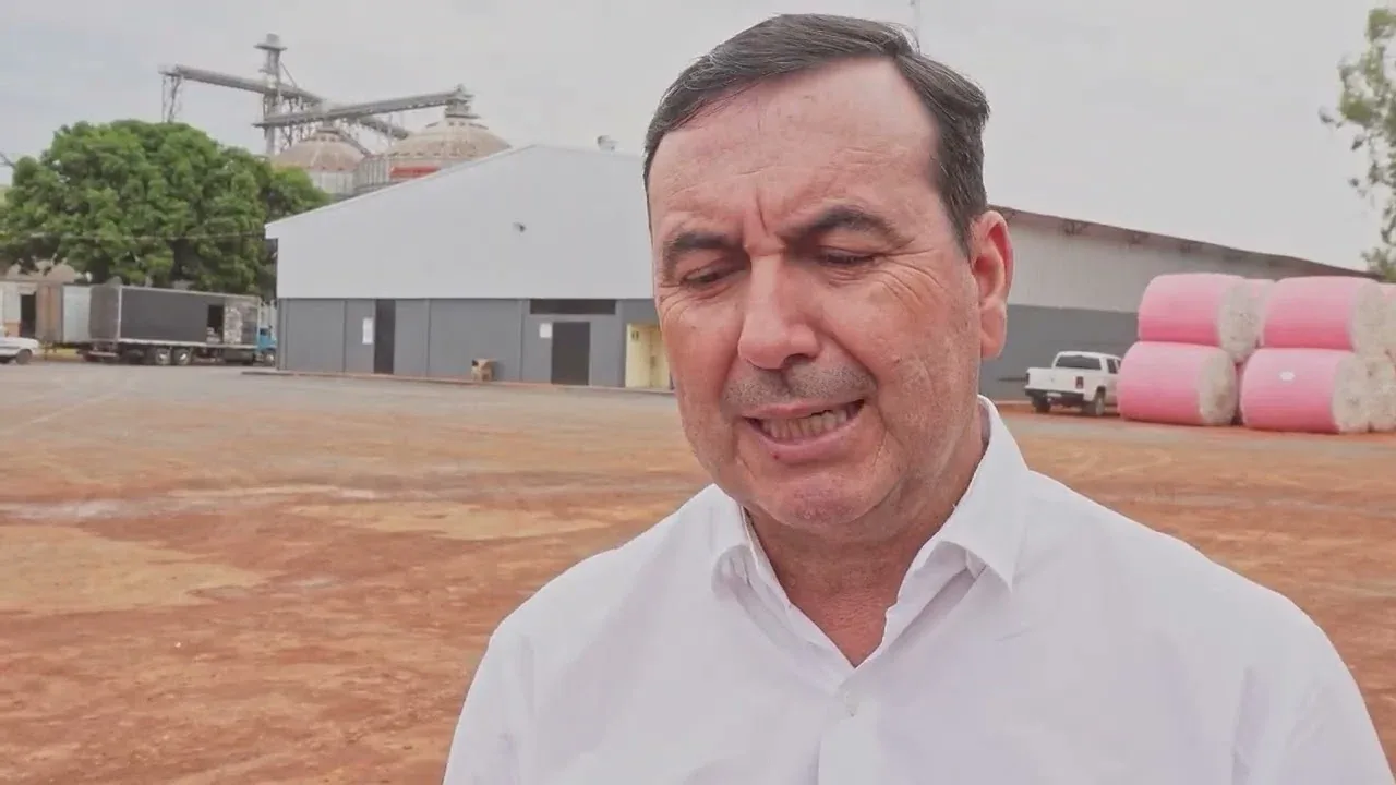 Plantio da soja avança em Mato Grosso e produtores planejam safrinha