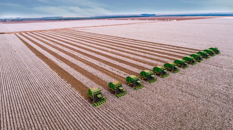 SLC Agrícola abre inscrições para Programa de Estágio 2027; veja como se candidatar