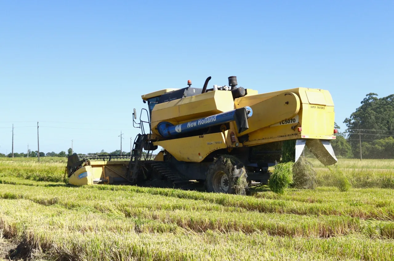 Fazenda do arroz Tio Bepy, avaliada em R$ 161 milhões, vai a leilão para pagar dívidas