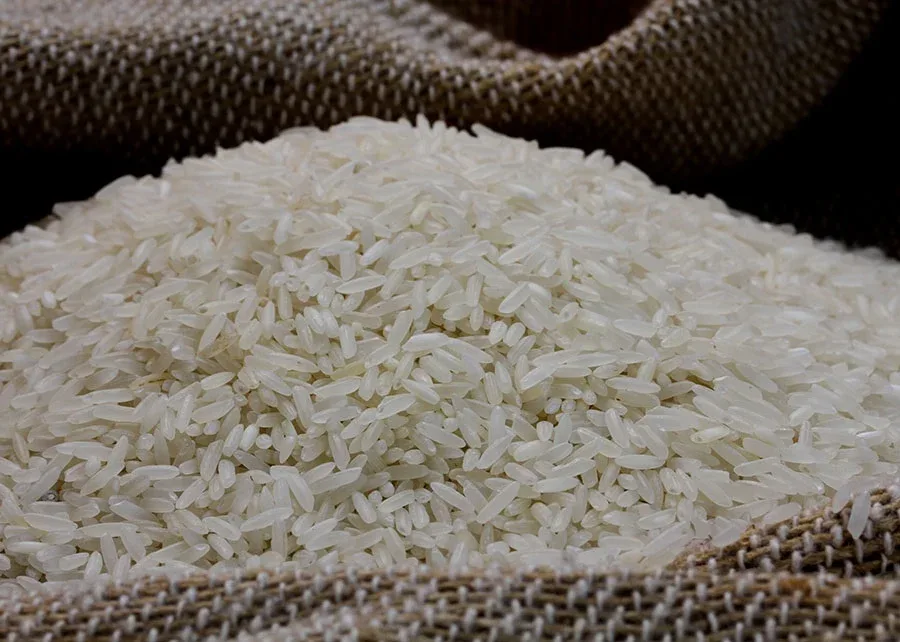 Leilão de compra de arroz da Conab adquire apenas 5% do ofertado