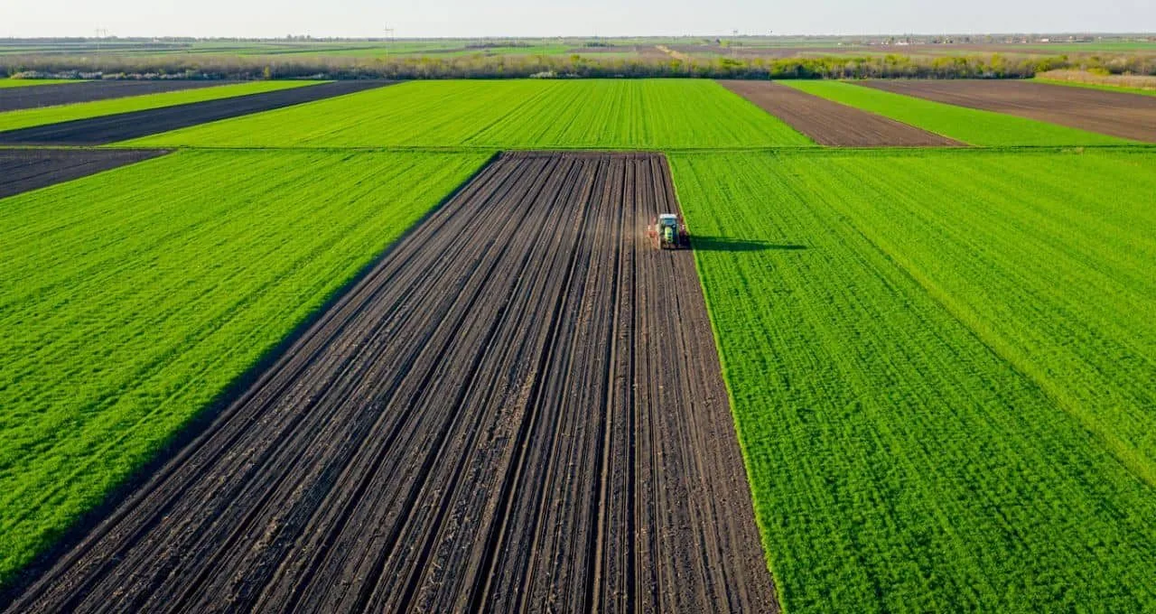 BrasilAgro informa venda de 2,5 mil hectares de Fazenda em Correntina