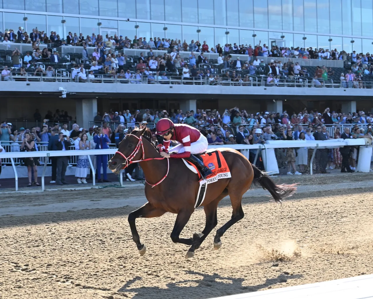 Cavalo de US$ 32 milhões vence nos EUA e treinador surpreende: “Nunca verei outro como ele”
