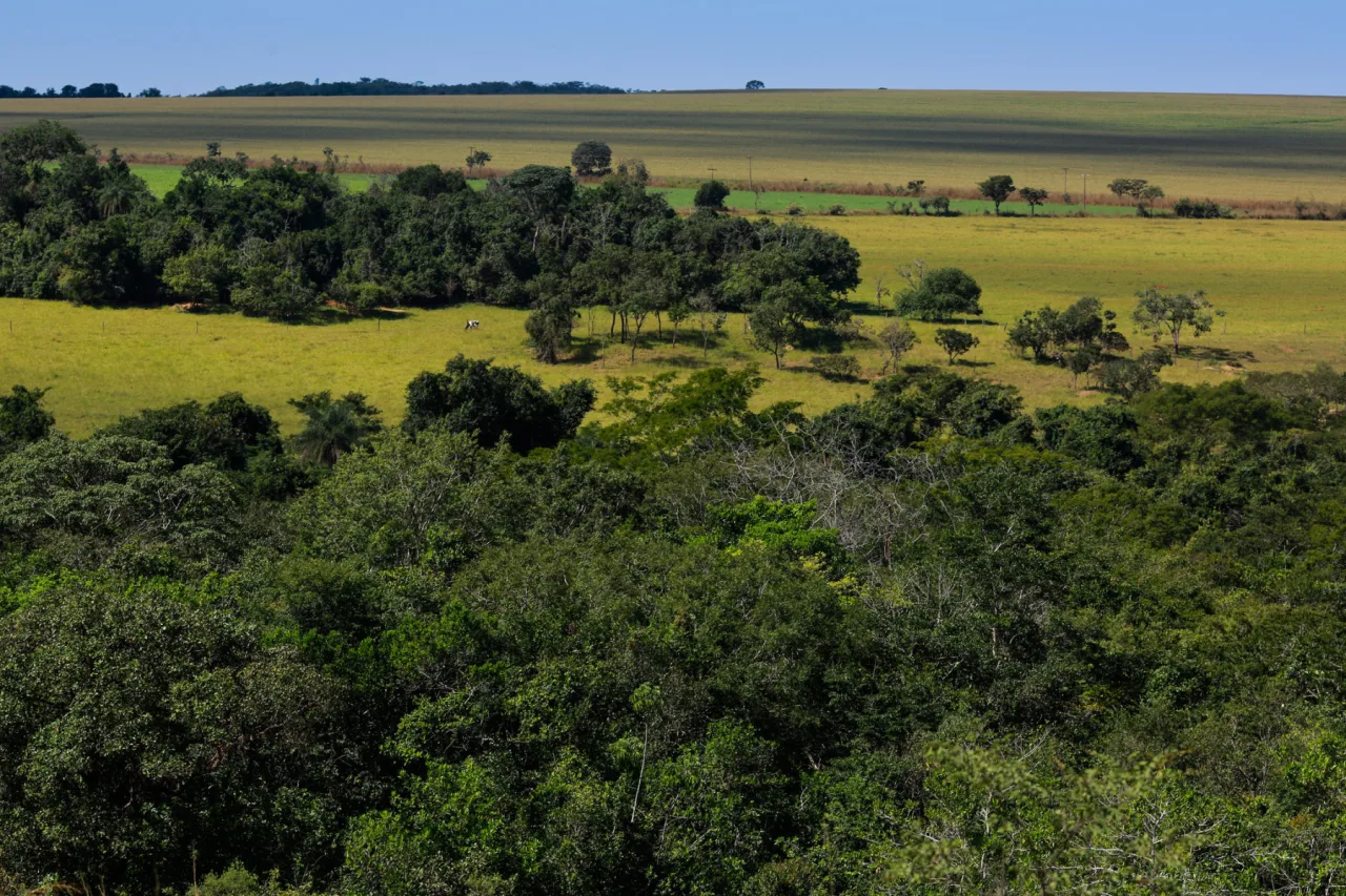 Pecuaristas começam a receber até R$ 100 mil por ano por área preservada dentro da fazenda