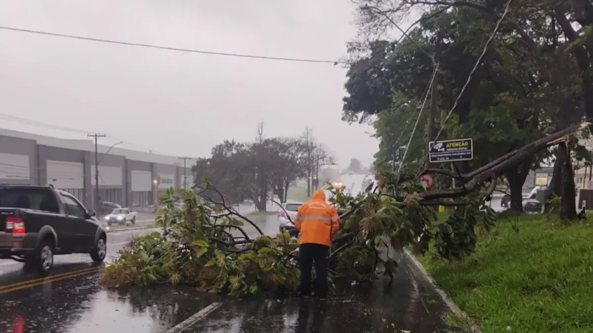 SP: Itaquaquecetuba decreta emergência por chuvas intensas