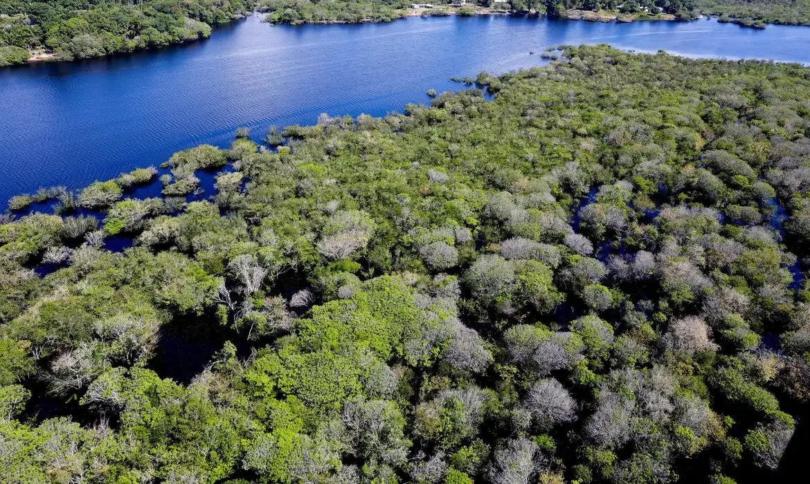 Calor extremo sobe mais de 3 °C em parte da Amazônia e surpreende pesquisadores