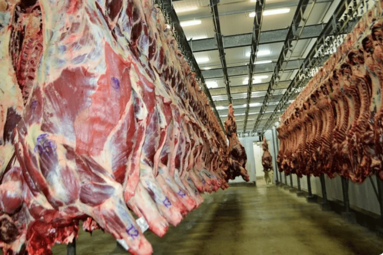 Após veto da UE, Indonésia libera carne de 21 frigoríficos brasileiros