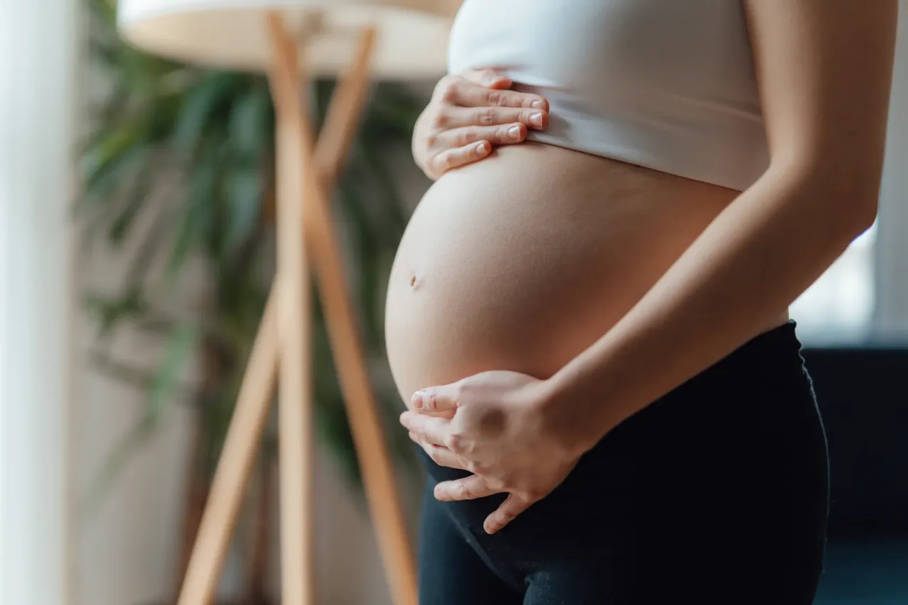 R$ 230 mil por gestação e sem limites: como funciona a barriga de aluguel nos EUA?