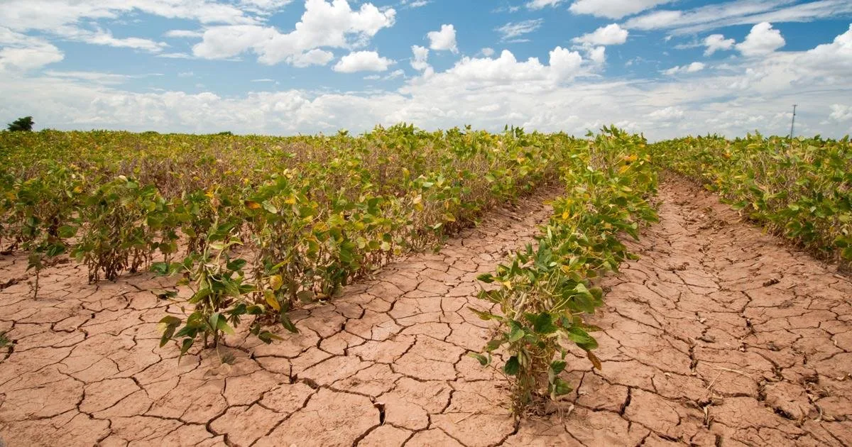 Chuva falha no Centro-Oeste e põe o plantio da soja 2026/27 diante de uma decisão difícil