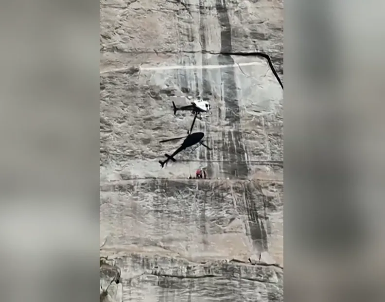 Vídeo: Cachorro é resgatado de helicóptero após ficar preso em montanha