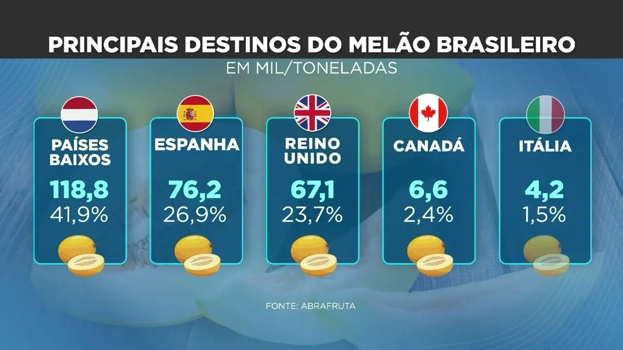 Exportação de melão brasileiro enfrenta desafios e oportunidades em 2023